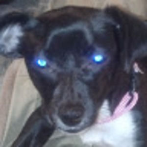 Meet your Posher, Connie